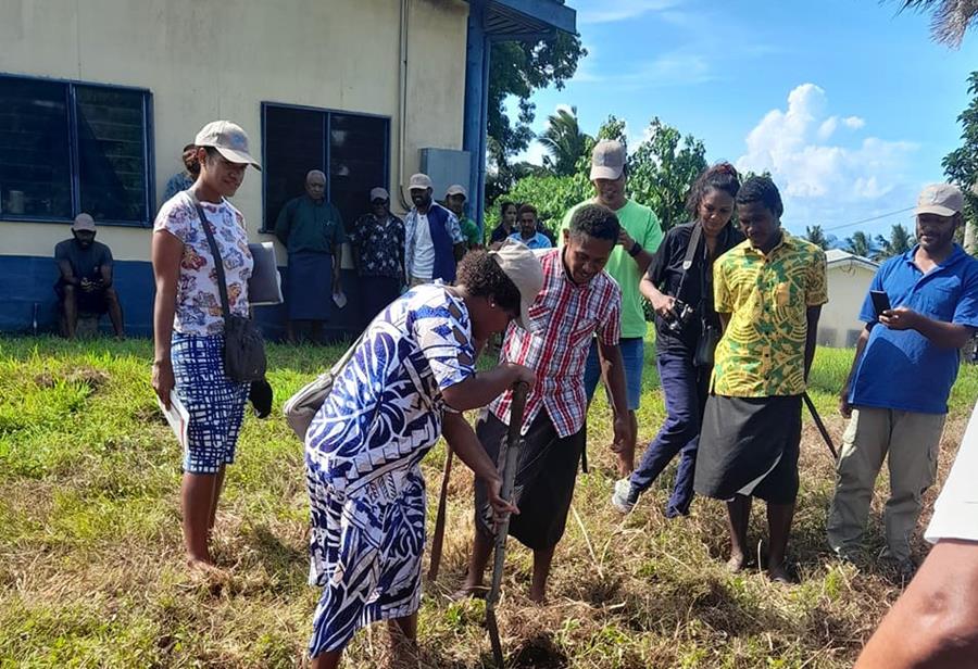 Crop Rotation In Fiji Fiji One News