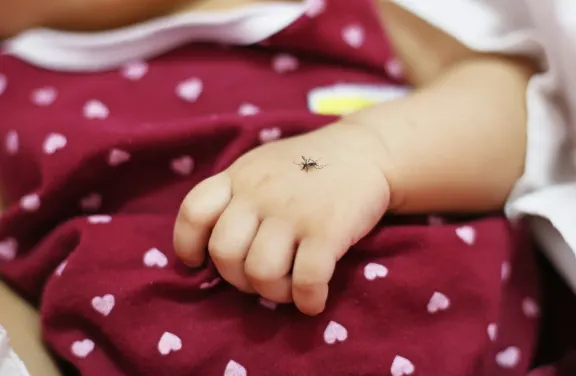 Baby hand with mosquitoes