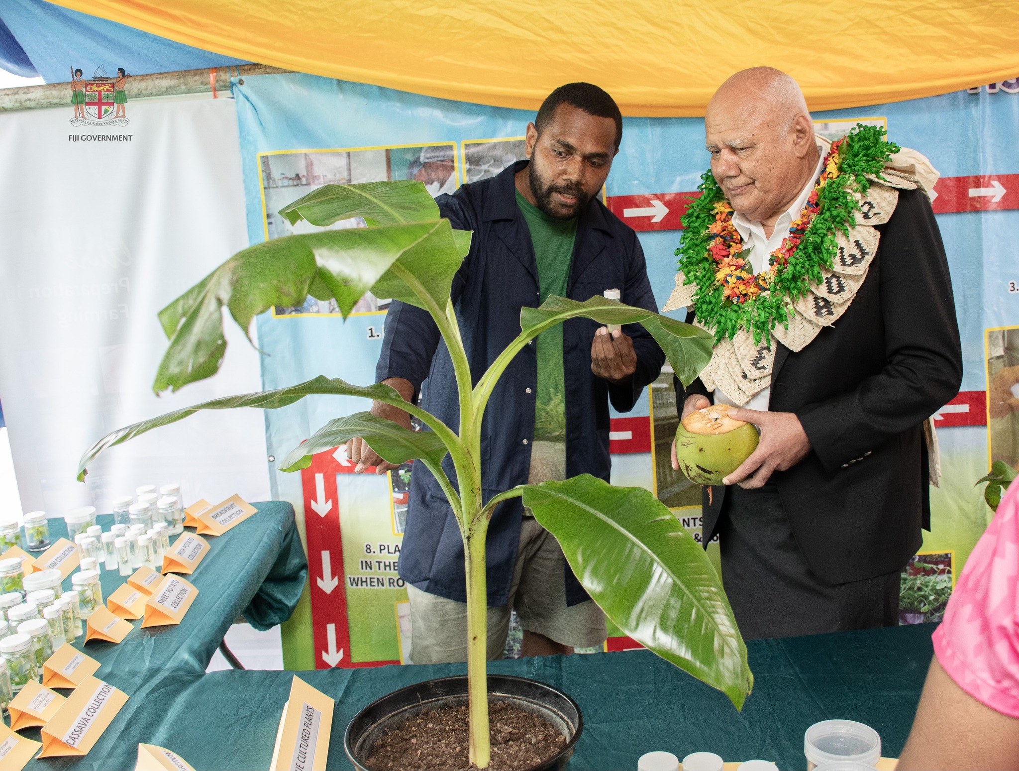 Crop Rotation In Fiji Fiji One News