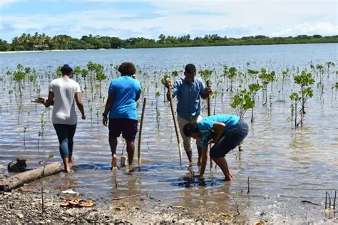 FIJI CLIANMTE CHANGE RESILIENCE