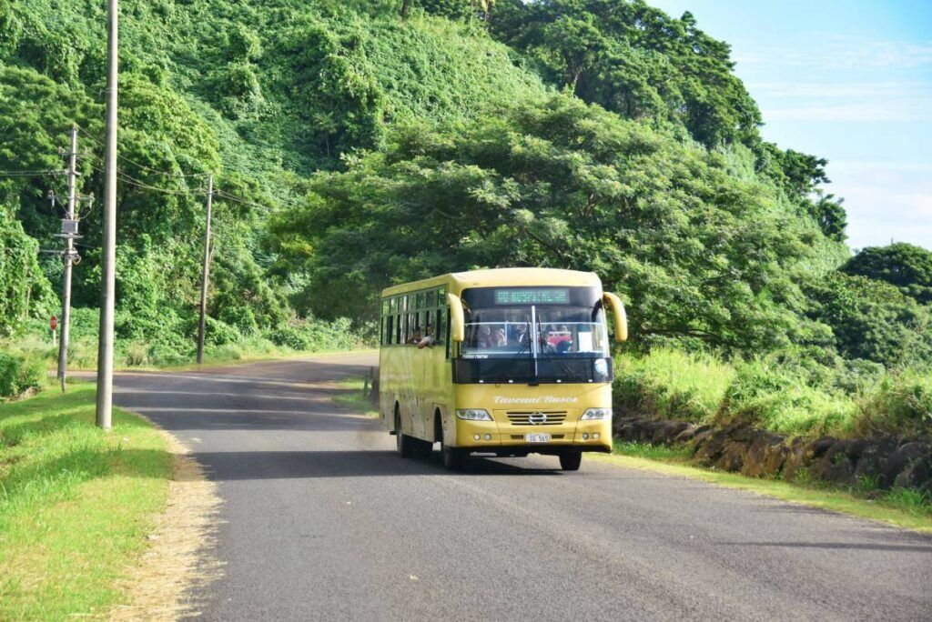 Taveuni Busses