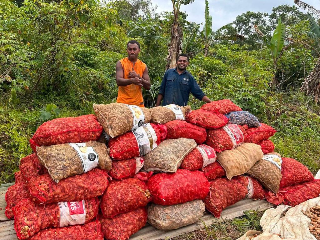 Ginger farmers