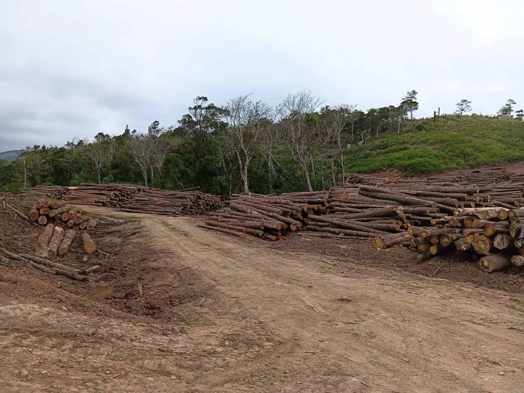 Kadavu Assessments Target Forest and Coastal Protection