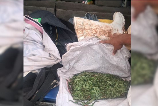 marijuanna labasa