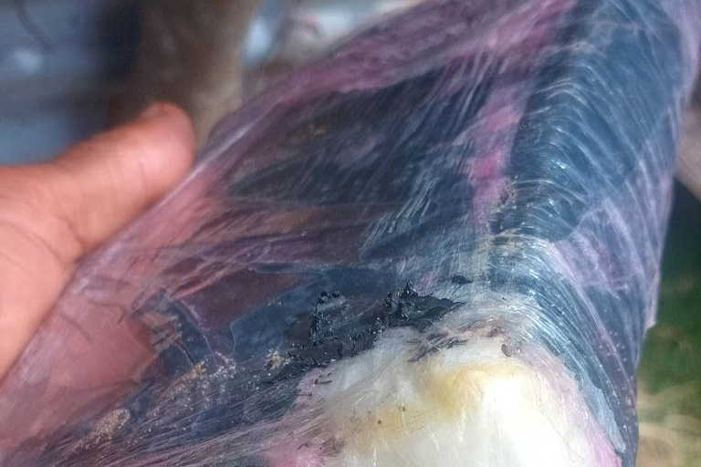 iIlicit drugs found on Yadua Island in Bua